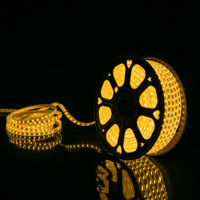 High Brightness IP67 60LEDs/m 220V Waterproof 5050 LED Strip for outdoor decoration